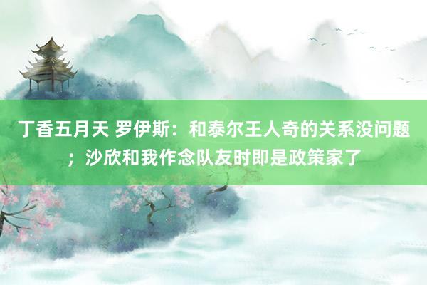 丁香五月天 罗伊斯：和泰尔王人奇的关系没问题；沙欣和我作念队友时即是政策家了