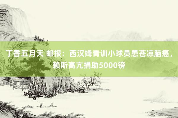 丁香五月天 邮报：西汉姆青训小球员患苍凉脑癌，赖斯高亢捐助5000镑